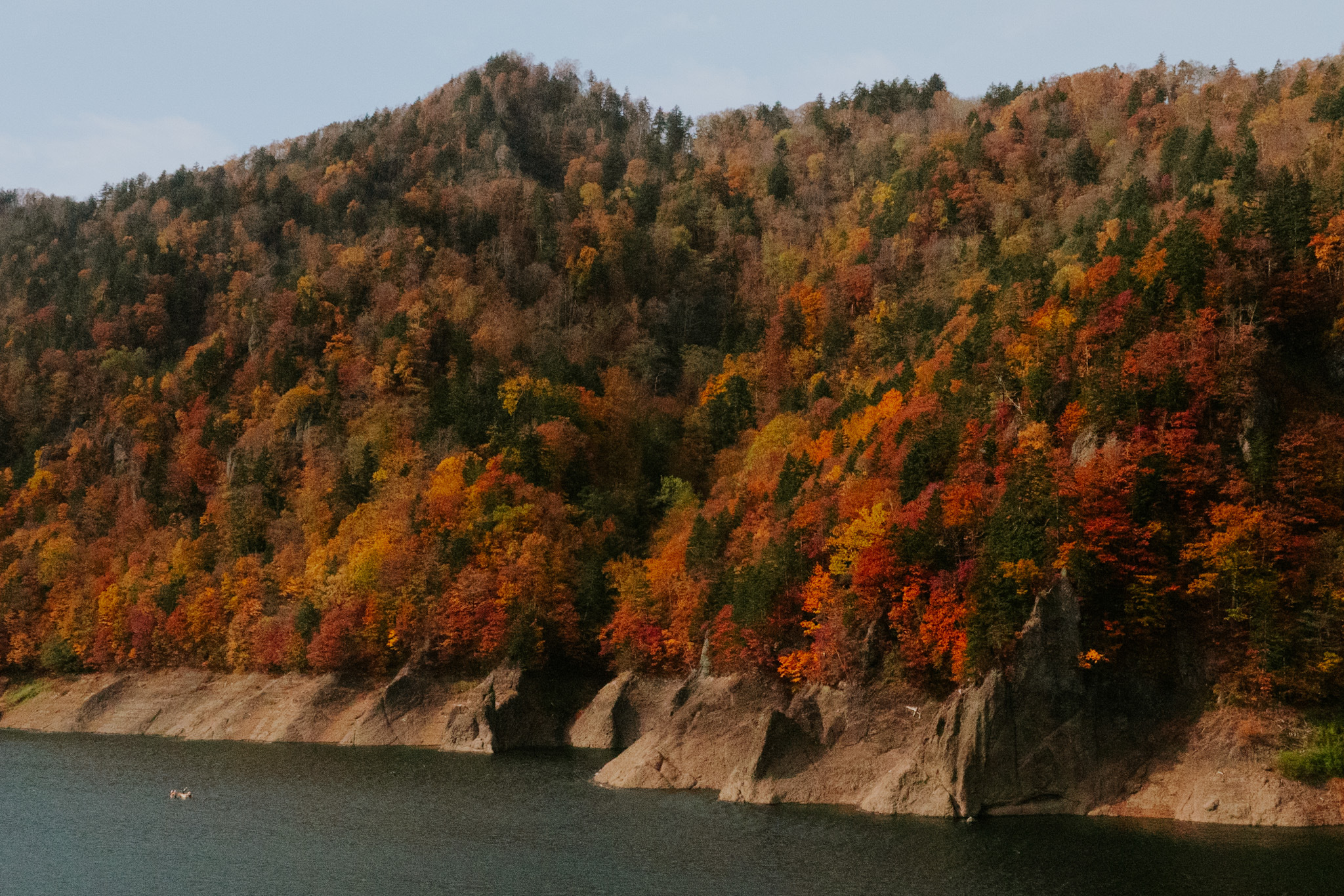 紅葉の写真