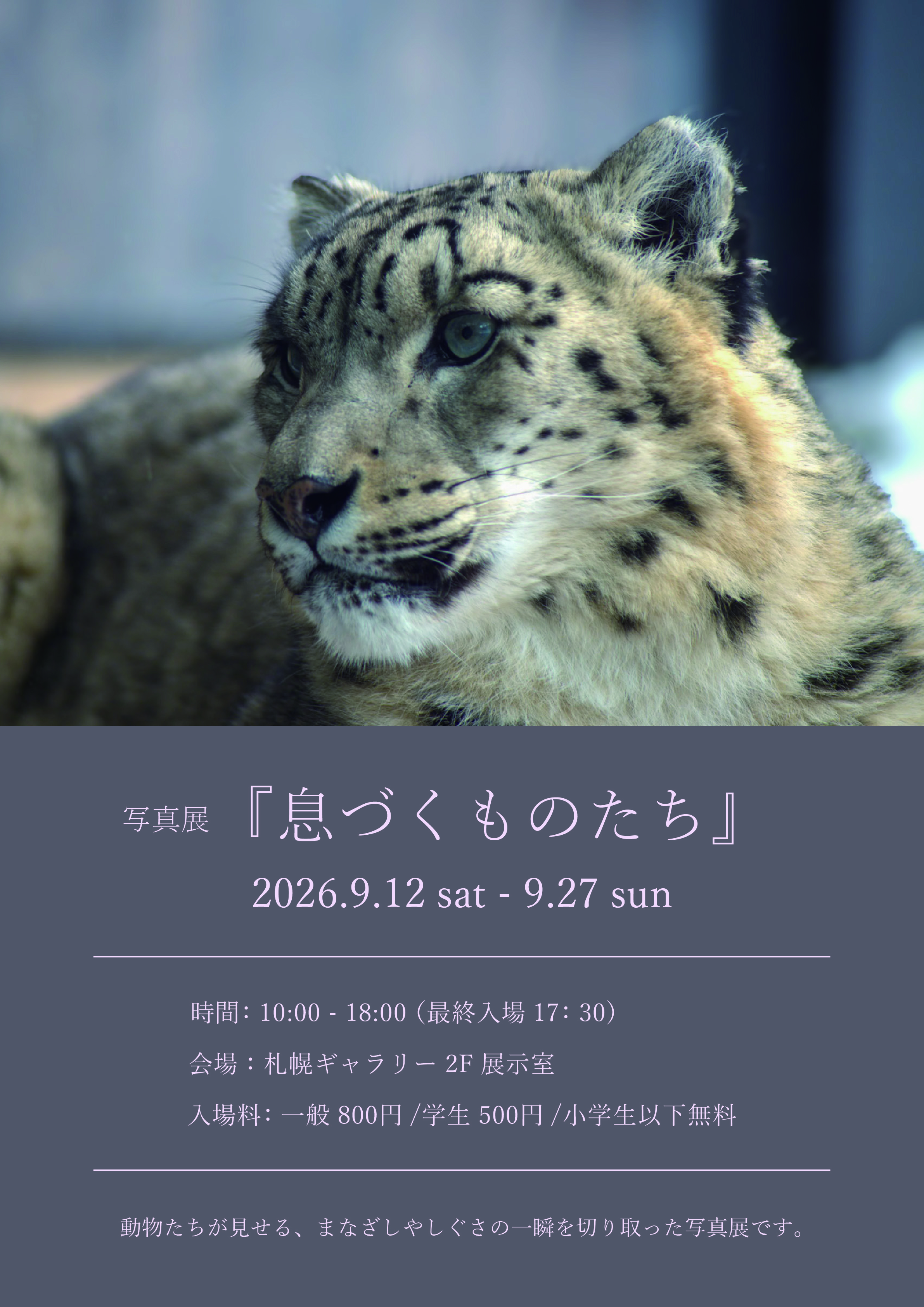 写真展フライヤー